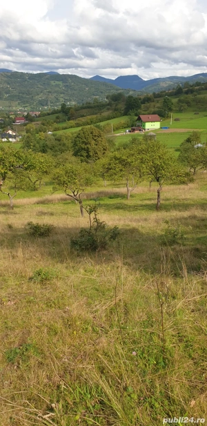 teren de vanzare - imagine 6