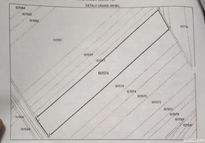 Vand teren Sura mica 25000 mp