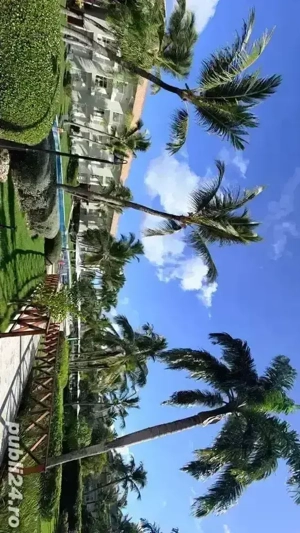 anagajam agent dezvoltare retea panotaj stradal 