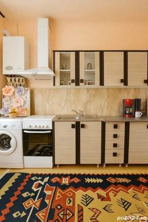 Apartament central Cluj Napoca str.Horea - imagine 10