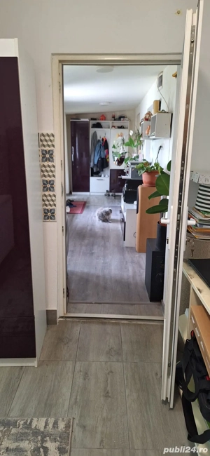 Vând casa în oraș Buziaș  - imagine 5