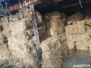 Vand baloti din paie