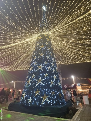 Caut menajera pt un domn de 70 ani in Hunedoara