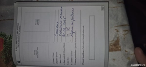 Pui de caine Ciobanesc German (lup) - imagine 5