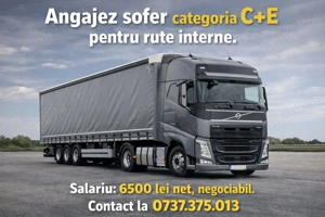 Angajez Sofer cat. C+E