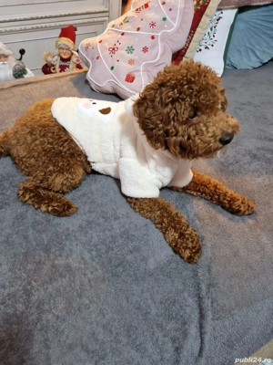 Bună! Eu sunt viitorul tău cel mai bun prieten și te-am așteptat exact un an!  - imagine 3