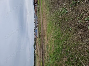  Teren intravilan clinceni-stadion, strada molidului, 615 mp