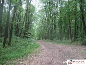 De vanzare teren cu casa inceputa  - imagine 3