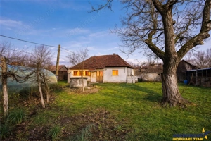 FILM! Casa cu sura, pivnita, balta cu pesti, 2.280 mp teren roditor, Lemnia, Covasna - imagine 7