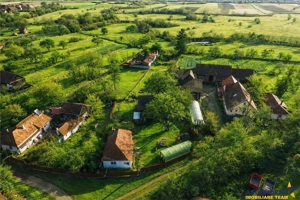 FILM! Casa cu sura, pivnita, balta cu pesti, 2.280 mp teren roditor, Lemnia, Covasna - imagine 5