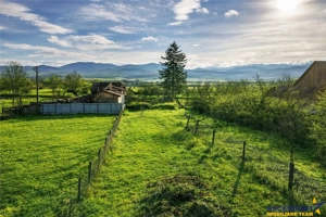 FILM! Casa cu sura, pivnita, balta cu pesti, 2.280 mp teren roditor, Lemnia, Covasna - imagine 3