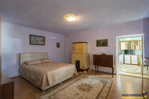 FILM! Casa cu sura, pivnita, balta cu pesti, 2.280 mp teren roditor, Lemnia, Covasna - imagine 18