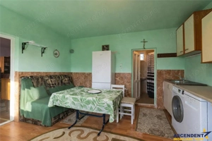 FILM! Casa cu sura, pivnita, balta cu pesti, 2.280 mp teren roditor, Lemnia, Covasna - imagine 15