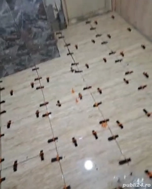 Echipa serioasa meseriași  - imagine 4