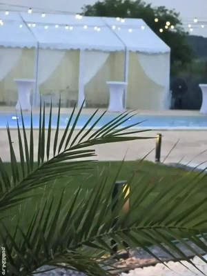 Vila petreceri, evenimente in aer liber, cu piscina si gradina - imagine 5