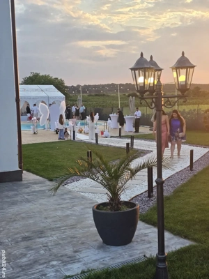 Vila petreceri, evenimente in aer liber, cu piscina si gradina - imagine 4