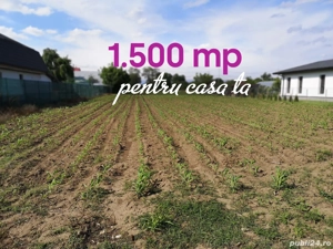 Teren de 1.500 mp pentru casa ta 