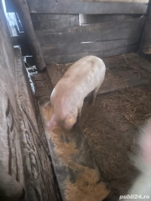 De vanzare! - imagine 2