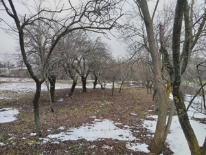 Vând  1880 mp teren intravilan.  - imagine 4