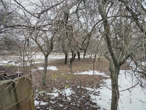 Vând  1880 mp teren intravilan.  - imagine 5