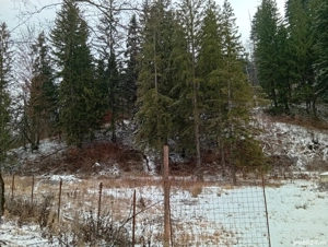 Teren Vădurele -Alexandru cel Bun, Vaduri