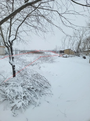 Teren intravilan 1000mp - imagine 6