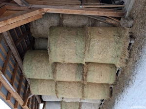 Baloti de fan rotunzi