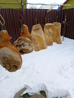 Suncă afumată si slănină.