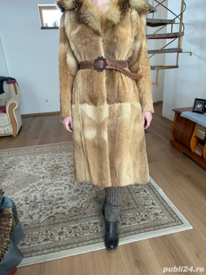 Haina de vulpe tunsa