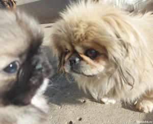 băiețel deparazitat cu primul vaccin făcut si carnet de sănătate