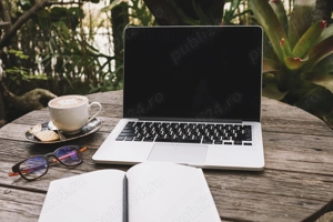 Consulting, service provision IT : windows, aplications, data entry and procesing, etc. 