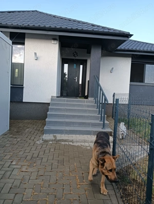 Vand casa Urgent in Tomesti, Iasi - imagine 4