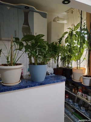 De vanzare apartament 3 camere - imagine 5