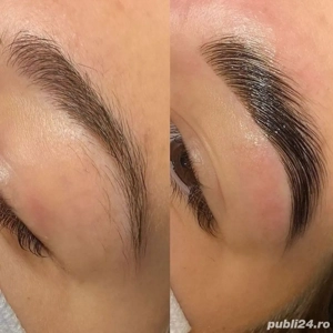 Pensat  vopsit laminare 