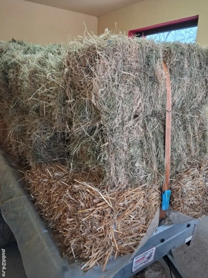 vind baloti - imagine 3