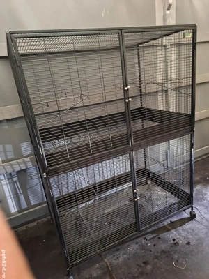 cusca papagali mare - imagine 3