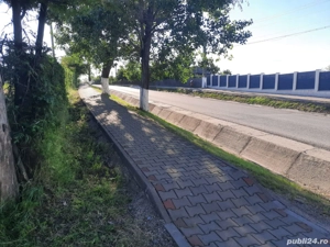 Proprietar intravilan în Țigănași la strada principală  - imagine 3