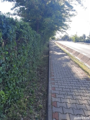 Proprietar intravilan în Țigănași la strada principală 