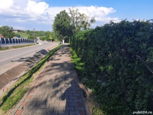 Proprietar intravilan în Țigănași la strada principală  - imagine 4