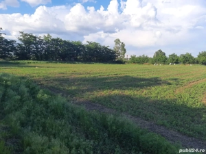 Proprietar intravilan în Țigănași la strada principală  - imagine 5