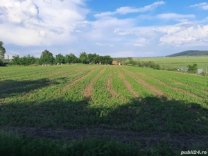 Proprietar intravilan în Țigănași la strada principală  - imagine 6