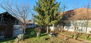 Casă bătrânească Ortisoara  - imagine 3