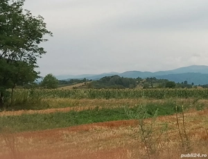 Teren Intr extr - imagine 2