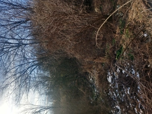 Teren de casa în Prahova  - imagine 2