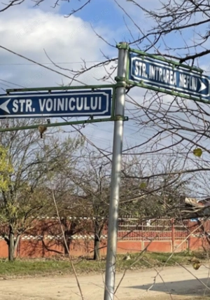 Teren 1800mp Intrarea Nefliu Magurele - imagine 3