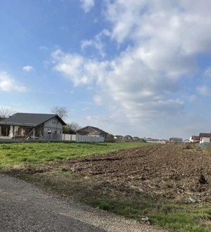 Teren 1800mp Intrarea Nefliu Magurele