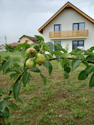 Casa individuala, 155 mp utili, 692 mp teren, Cornesti-Mihai Viteazu