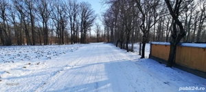 Vand casa Dulcesti Neamt - imagine 5