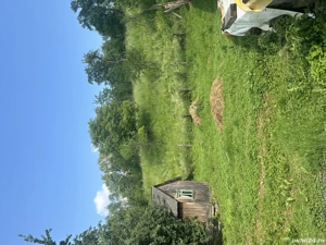 De vânzare casa  la țară   liniște, natură și izvor de apă sărată!  - imagine 4