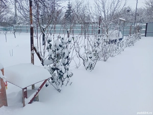 Caut Job în Giurgiu sau București